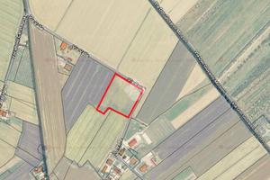 TER. AGRICOLO A CANNARA