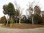 Immagine 26