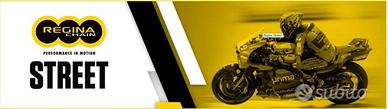 Catene per Moto Regina Performance Sconti 10%