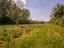 Immagine 26
