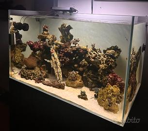 Rocce vive naturali e artificiali