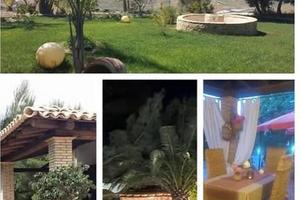 B&B Bifarville