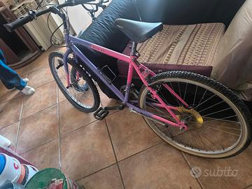 Bicicletta donna