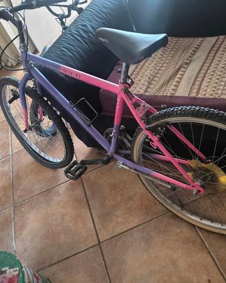 Bicicletta donna