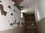 Immagine 16