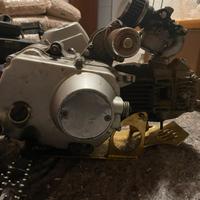 Motore pit bike 110cc