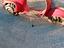 Immagine 5