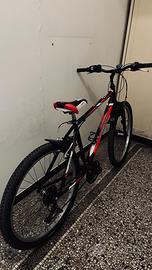 Bicicletta MTB