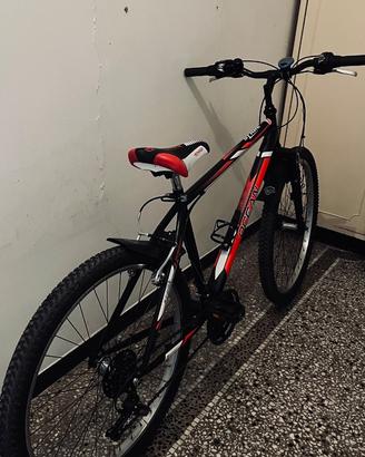 Bicicletta MTB