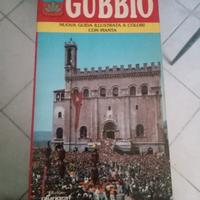gubbio nuova guida illustrata a colori con pianta