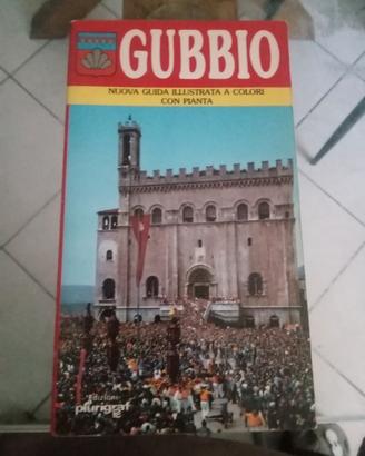 gubbio nuova guida illustrata a colori con pianta