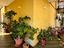 Immagine 27