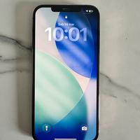 Iphone 12 pro max 256