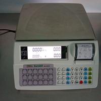 Bilancia professionale