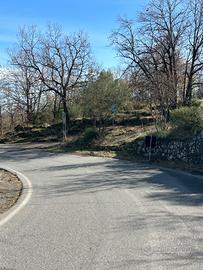 Terreno boschivo con ruderi