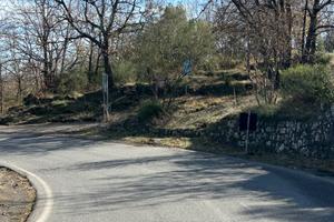 Terreno boschivo con ruderi