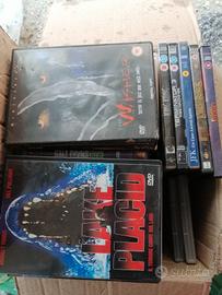 LOTTO  DVD