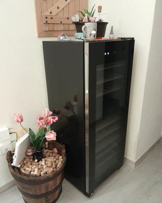 Cantina vini Haier