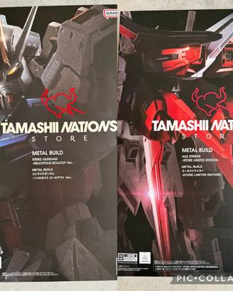 Gundam metal build+Kit bandai limited Japan store