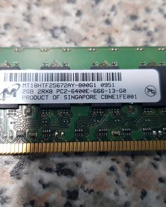 Memoria DDR 2GB