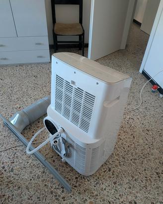 si vende   climatizzatore portabile 
