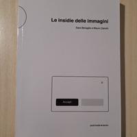 Le insidie delle immagini - Mauro Zanchi