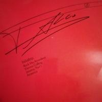 lotto vinili 33 giri lp disco album rock pop blues