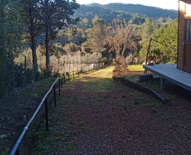 Terreno con annesso