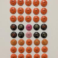 Bellavista Franciacorta - 40 Capsule