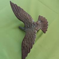 aquila americana anni 80 