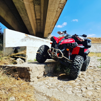 Can am renegade 800 4x4