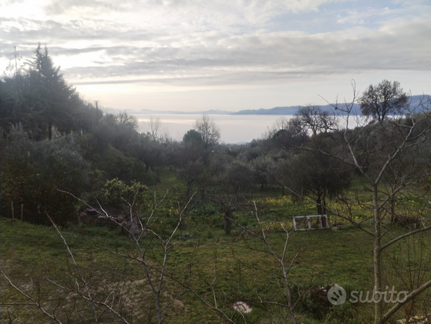 Terreno Agricolo con rustico