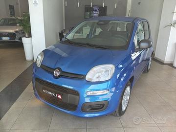FIAT Pandina 1.0 FireFly 65cv S&S 6m Hybrid Icon
