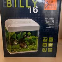 acquario Billy 16