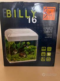 acquario Billy 16