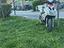 Immagine 5