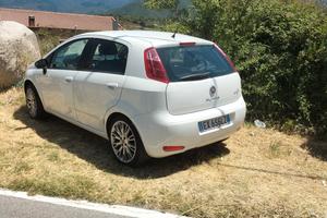 punto evo street 