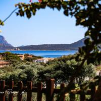 Trilocale Splendida vista mare Olbia (Pittulongu)
