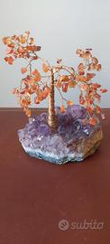 Albero Bonsai