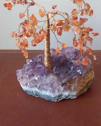 Albero Bonsai