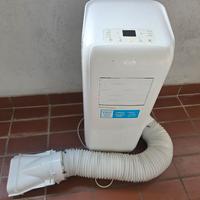 pinguino condizionatore argo