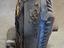 Immagine 6