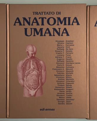 Trattato di Anatomia Umana - Anastasi IV ed.  3 vo