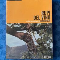 RUPI DEL VINO di Ermanno Olmi (documentario)