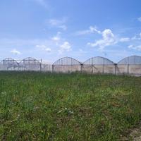 Terreno agricolo in Sardegna