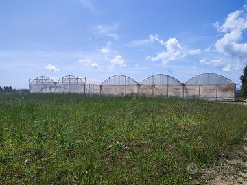 Terreno agricolo in Sardegna