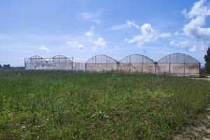 Terreno agricolo in Sardegna