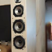 Diffusori Dynavoice Challenger m65 EX