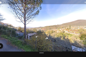 Terreno agricolo 1.500 m² con ulivi