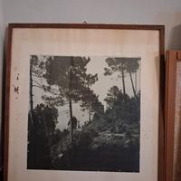 Quadro d'antiquariato 